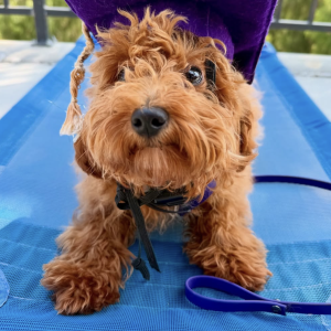 Screenshot 2025 11 10 at 12.25.17 PM