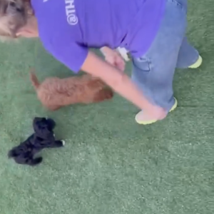 Screenshot 2025 11 10 at 12.26.20 PM