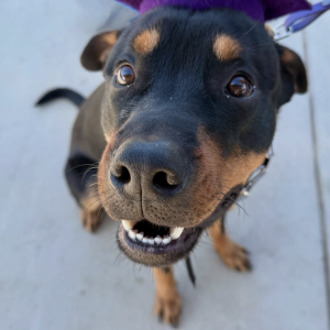 Screenshot 2025 11 10 at 12.26.42 PM